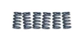 EBC spojkové pružiny CSK 78 (5 pružín)