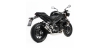 Leo Vince TRIUMPH SPEED TRIPLE 1050/R (low side mount) 1050ccm SLIP-ON