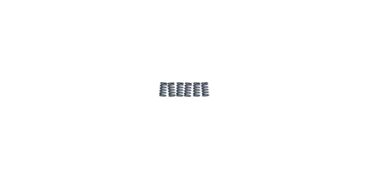 EBCEBC Kupplungsfedern CSK 110 (5 Federn)