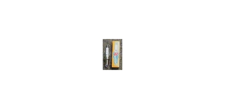 NGKNGK Zandkerze DP9EV9