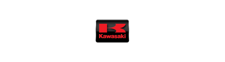 Kawasaki - Leo Vince ladené výfuky