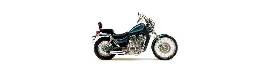 VS 600 INTRUDER 1995-1996