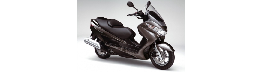 UH 200 Burgman L1 07-